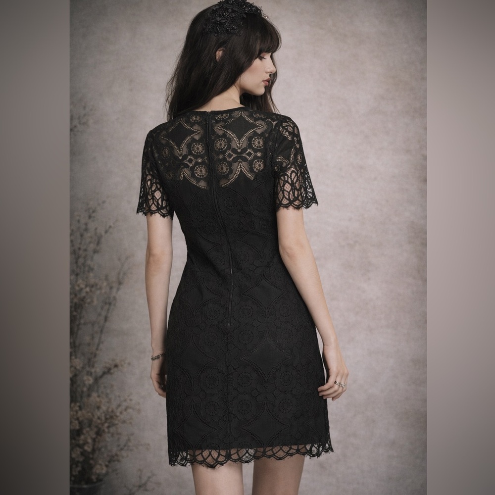 MINKPINK Whimsigoth Black Lace Gothic Dress Medium Celestial Witchy fairy - Picture 2 of 10